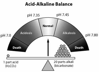 Calcium | LIVESTRONG.COM