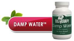 Damp-Water