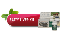 Fatty-Liver-Kit