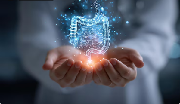 digestive - Colon Cleanse Gut Health: How Colon Hydrotherapy Supports Digestive and Whole-Body Wellness