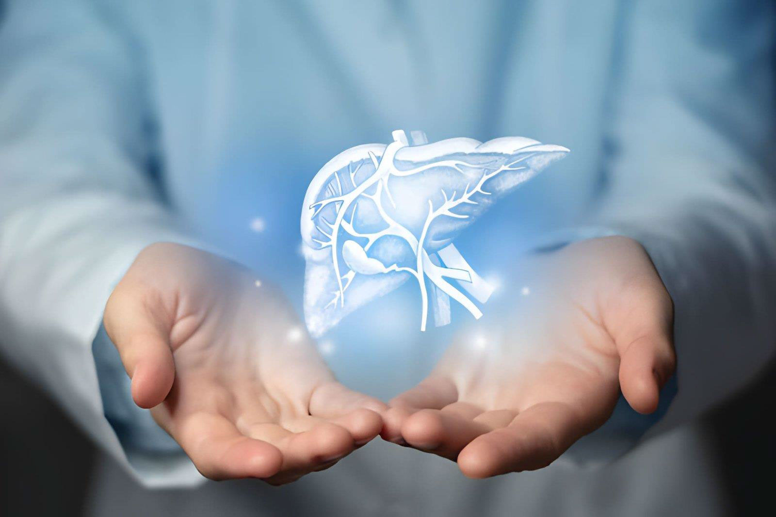 liver - The Gut Skin Liver Connection: How Detoxifying the Colon Supports Whole-Body Healing